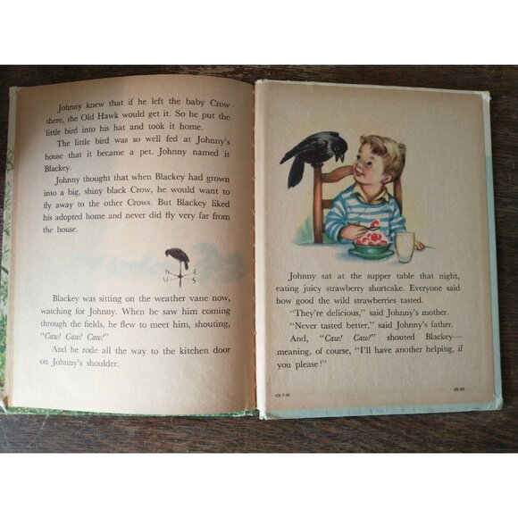 1950 Johnny and the Birds by Ian Munn Rand McNally Elf Book - Picture 4 of 5